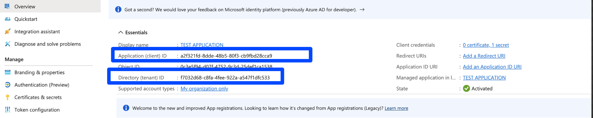 Overview tab: Application (client) ID and Directory (tenant) ID